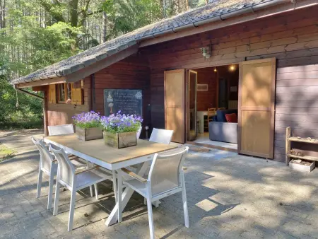 Chalet en forêt à Lille, Belgique : jardin clos 2500 m² : photo 22