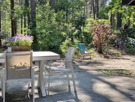 Chalet en forêt à Lille, Belgique : jardin clos 2500 m² : photo 23