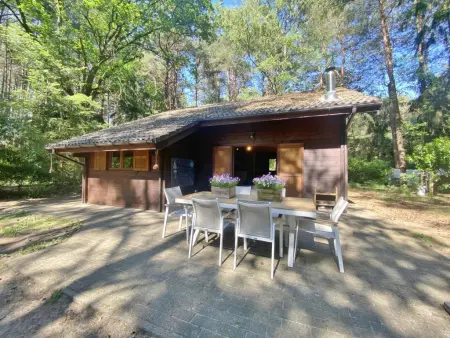 Chalet en forêt à Lille, Belgique : jardin clos 2500 m² : photo 24
