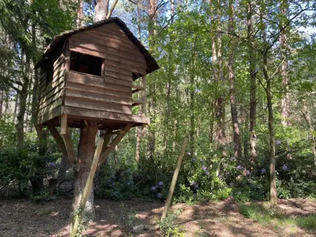 Chalet en forêt à Lille, Belgique : jardin clos 2500 m² : photo 30