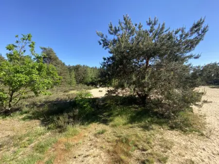 Chalet en forêt à Lille, Belgique : jardin clos 2500 m² : photo 31