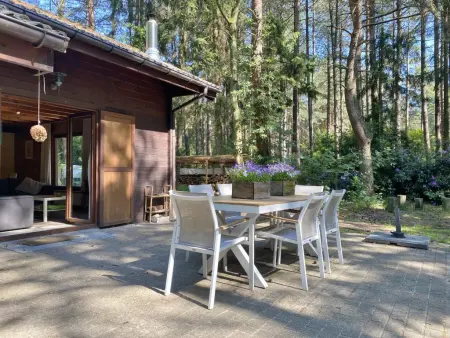 Chalet en forêt à Lille, Belgique : jardin clos 2500 m² : photo 32