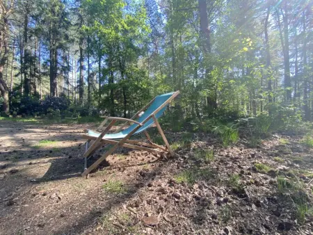 Chalet en forêt à Lille, Belgique : jardin clos 2500 m² : photo 33