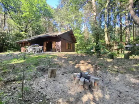 Chalet en forêt à Lille, Belgique : jardin clos 2500 m² : photo 34
