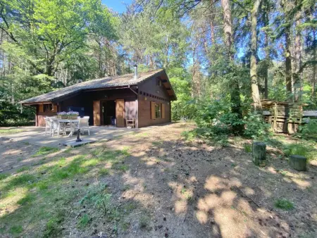 Chalet en forêt à Lille, Belgique : jardin clos 2500 m² : photo 35
