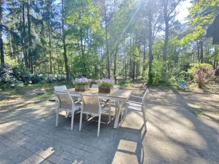 Chalet en forêt à Lille, Belgique : jardin clos 2500 m² : photo 36