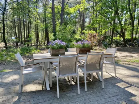 Chalet en forêt à Lille, Belgique : jardin clos 2500 m² : photo 37