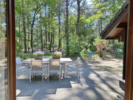 Chalet en forêt à Lille, Belgique : jardin clos 2500 m² : photo 38