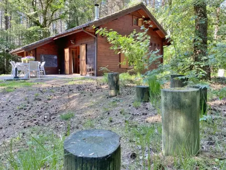 Chalet en forêt à Lille, Belgique : jardin clos 2500 m² : photo 39