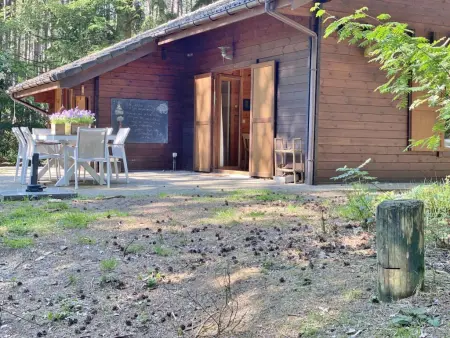 Chalet en forêt à Lille, Belgique : jardin clos 2500 m² : photo 40