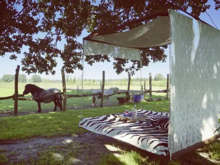 De Lieshoeve, Ferme ancienne avec jardin géant - Photo 19