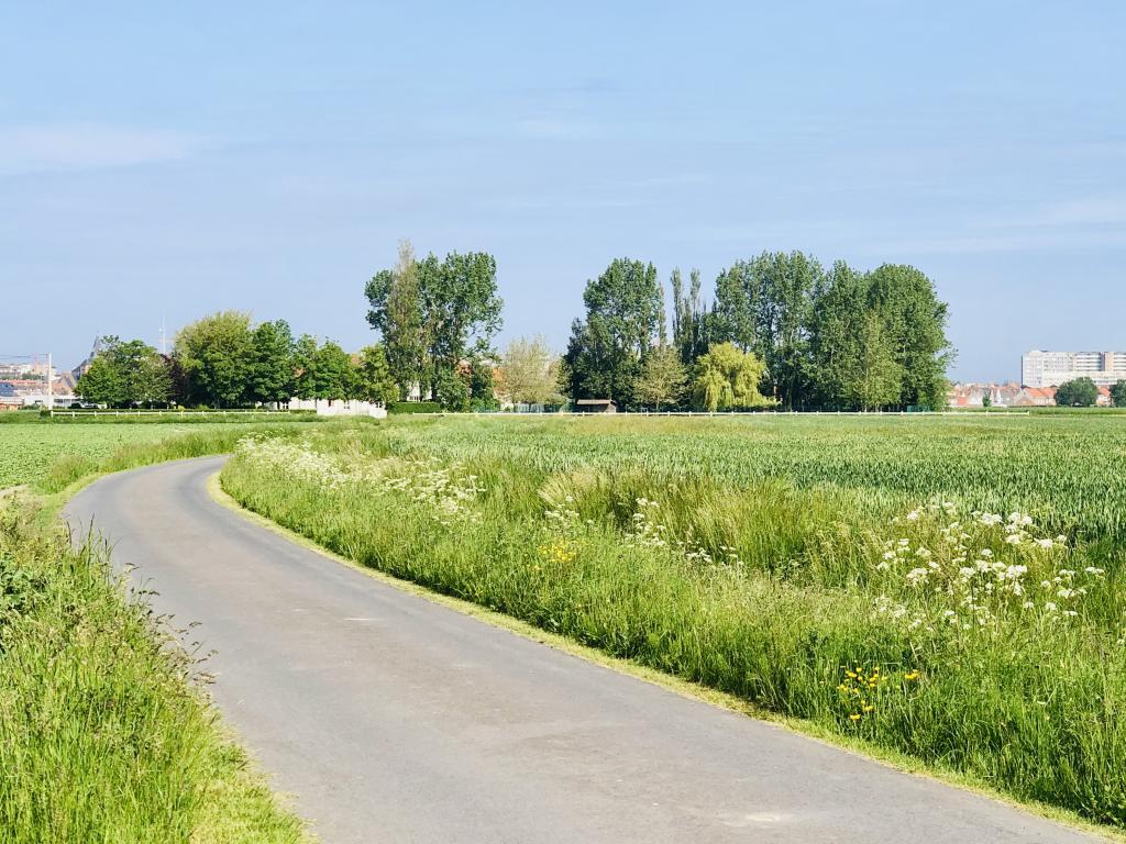 Maison De Lange Dreve, jardin clos et 4 chambres à Middelkerke - Photo 24