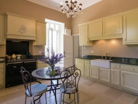 Le Petit Château : maison avec piscine privée près de Brouchaud : photo 4