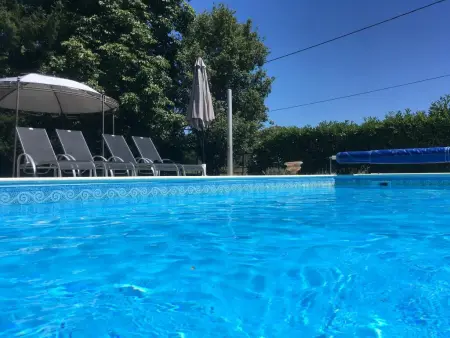 Le Petit Château : maison avec piscine privée près de Brouchaud : photo 6