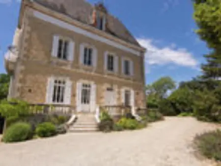 Le Petit Château : maison avec piscine privée près de Brouchaud : photo 18
