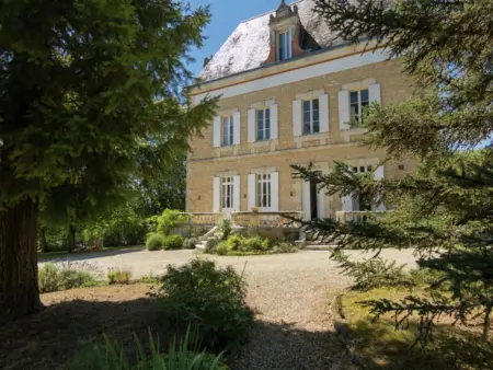 Le Petit Château : maison avec piscine privée près de Brouchaud : photo 19