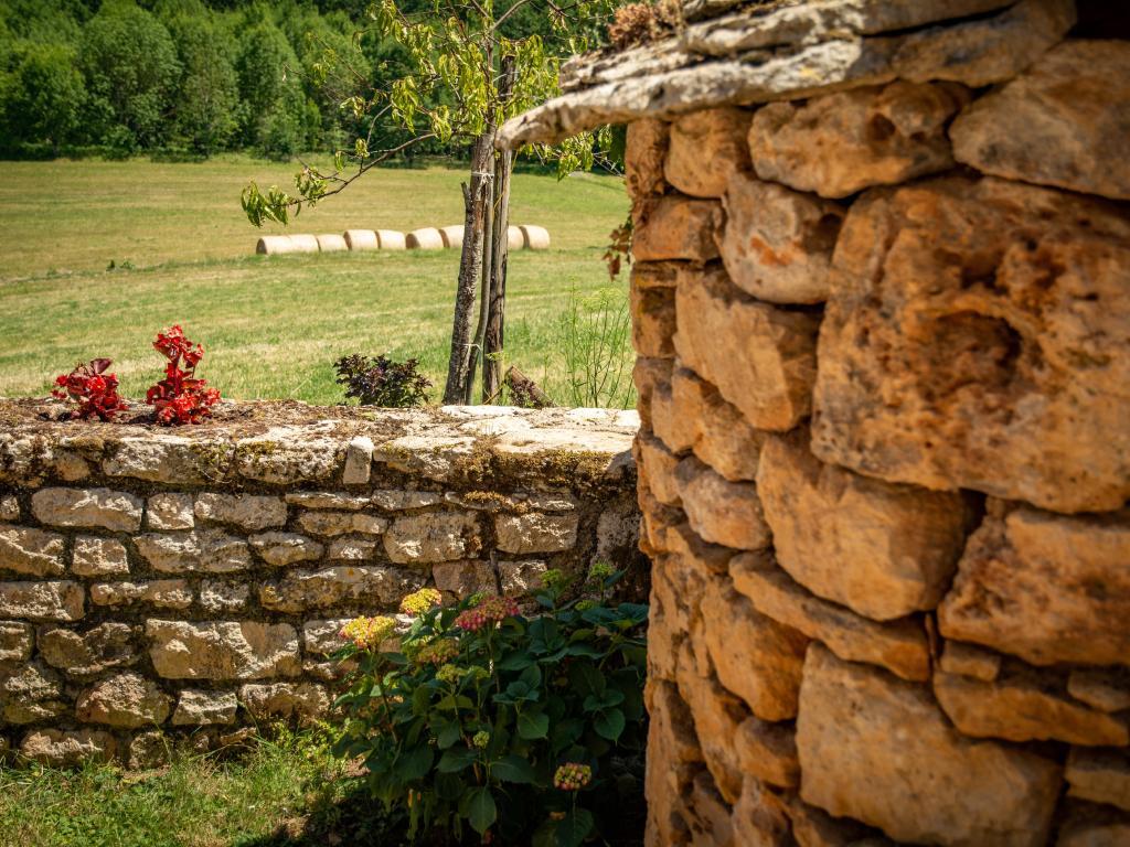 Maison Girou Haut – Pierre et piscine à Montcabrier - Photo 28
