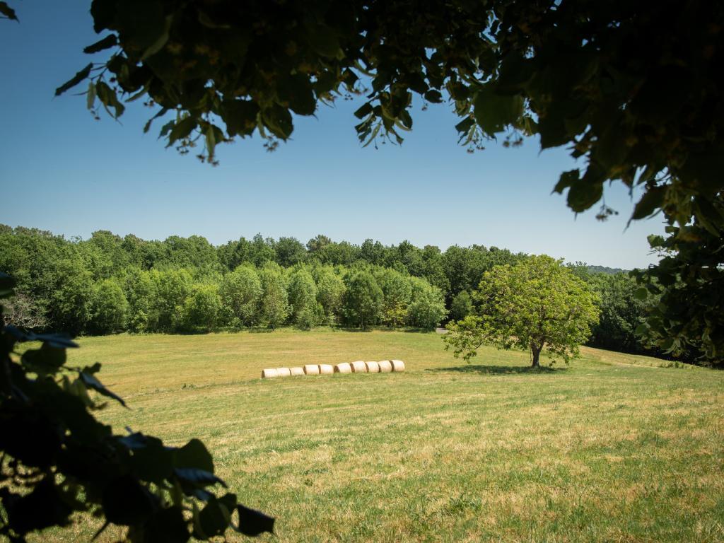 Maison Girou Haut – Pierre et piscine à Montcabrier - Photo 29