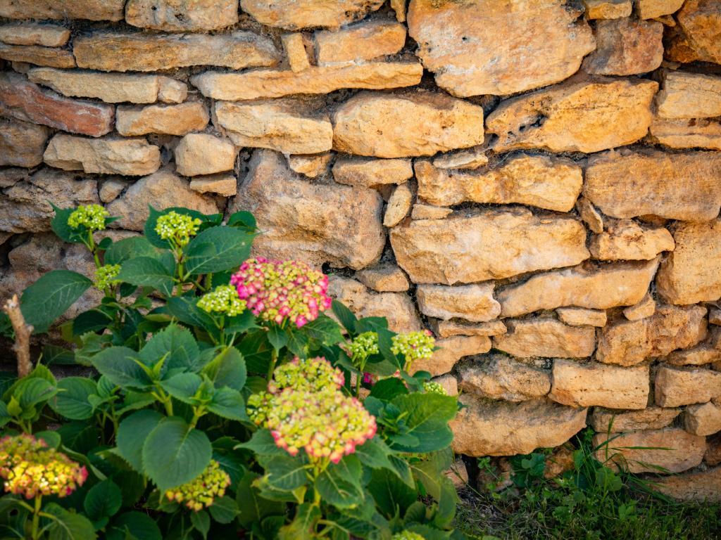 Maison Girou Haut – Pierre et piscine à Montcabrier - Photo 32