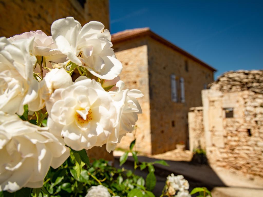 Maison Girou Haut – Pierre et piscine à Montcabrier - Photo 33