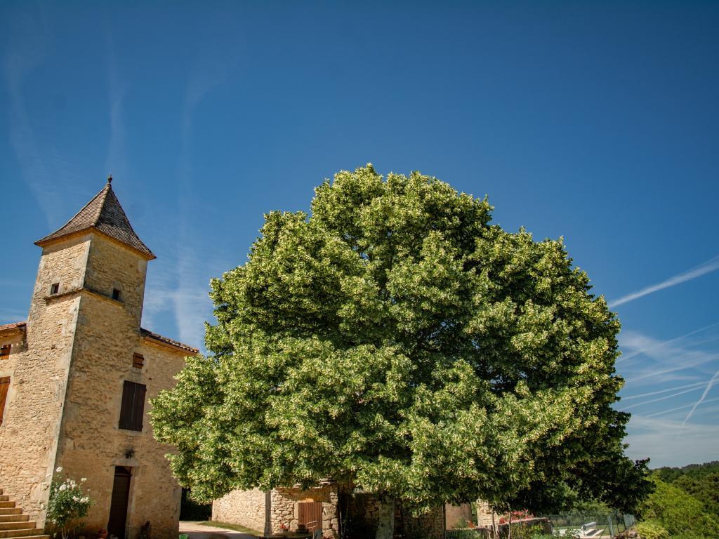 Maison Girou Haut – Pierre et piscine à Montcabrier - Photo 36
