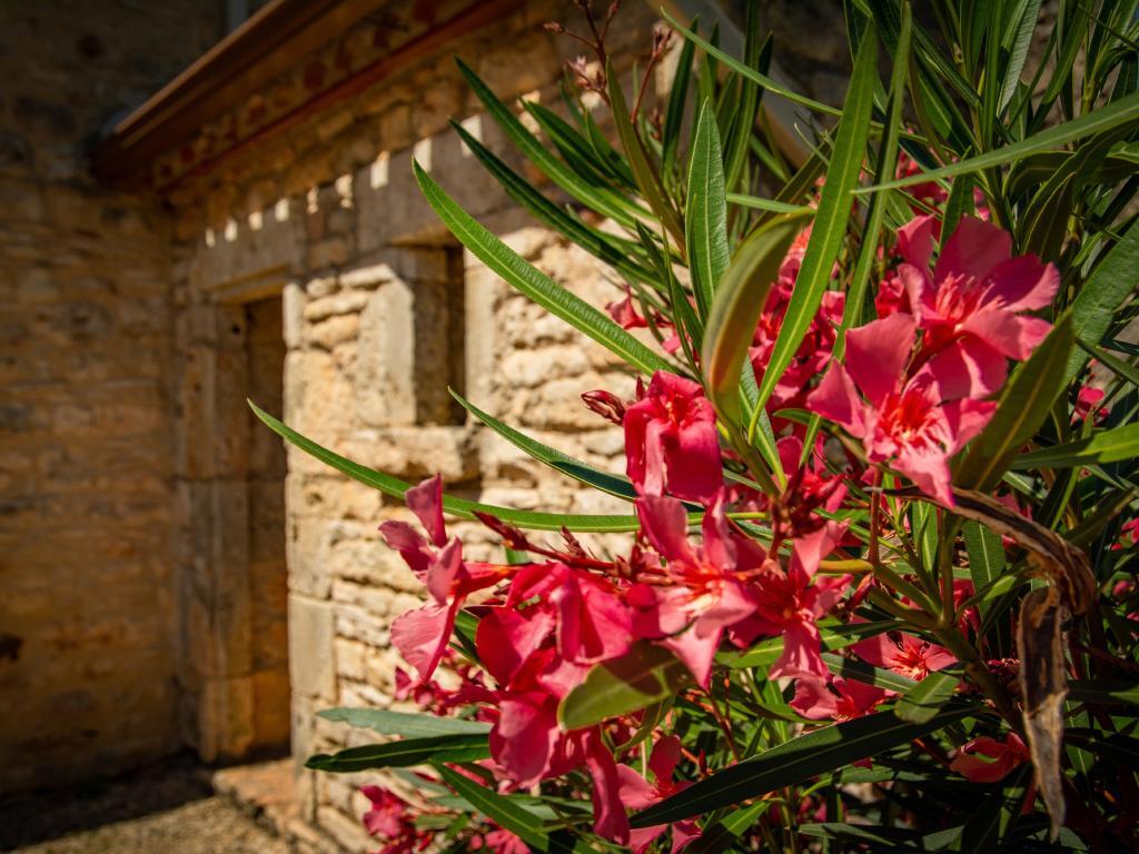 Maison Girou Haut – Pierre et piscine à Montcabrier - Photo 38