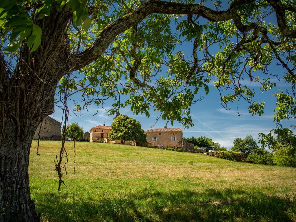 Maison Girou Haut – Pierre et piscine à Montcabrier - Photo 44