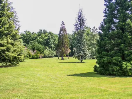 Gite La Sempesserre, Gîte situé au calme avec piscine et parc-jardin - Photo 13