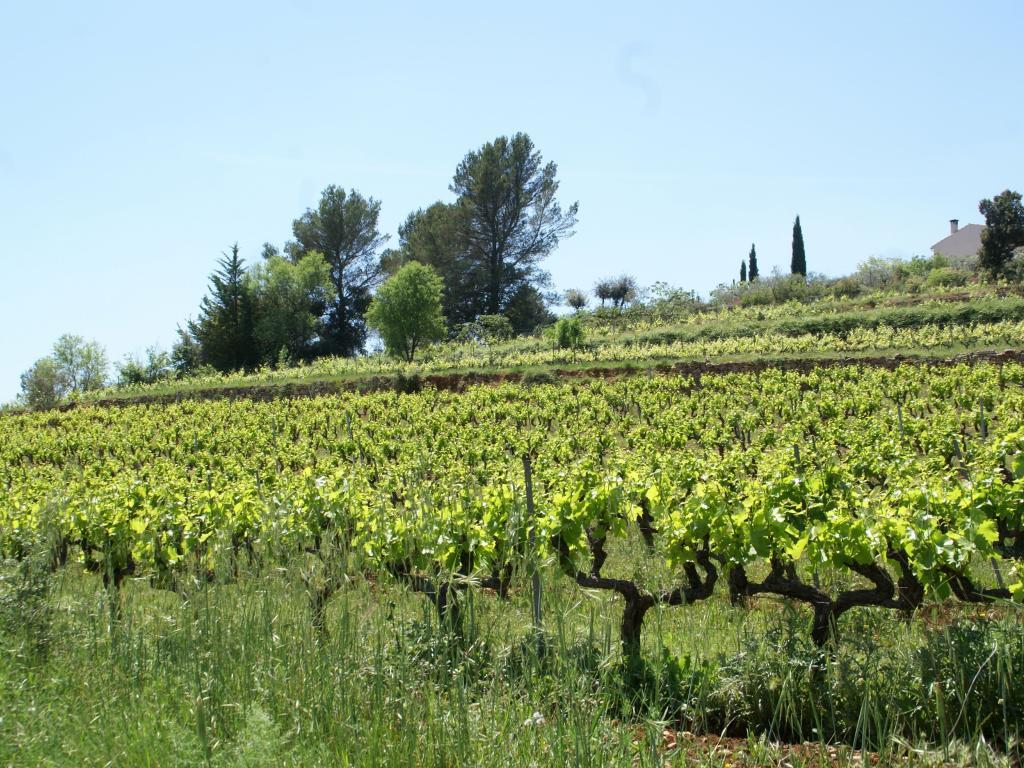 La Noura, Villa avec grand jardin clos, clim et piscine - Photo 24