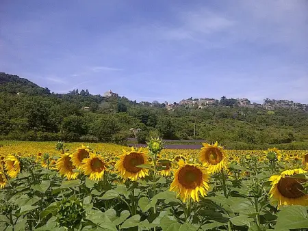 Villa Bellegarde, Villa avec vue panoramique et piscine privée - Photo 38