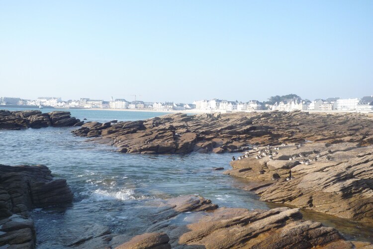 Maison 4 chambres Saint-Pierre-Quiberon, terrasse et jardin - Photo 28