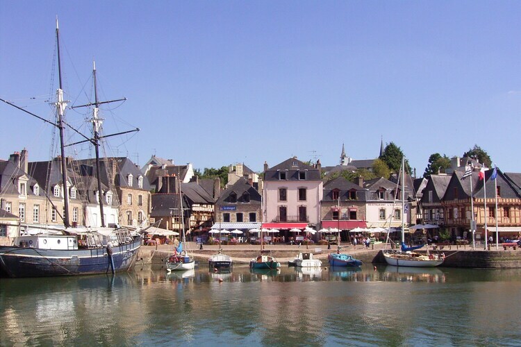 Maison 4 chambres Saint-Pierre-Quiberon, terrasse et jardin - Photo 31