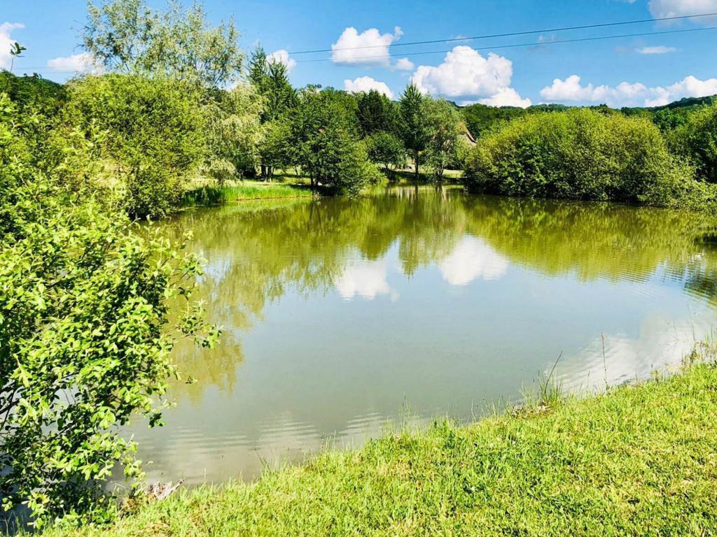Maison Le Lac Bleu nr 33 à Lacapelle-Marival, 4 chambres et piscine - Photo 29