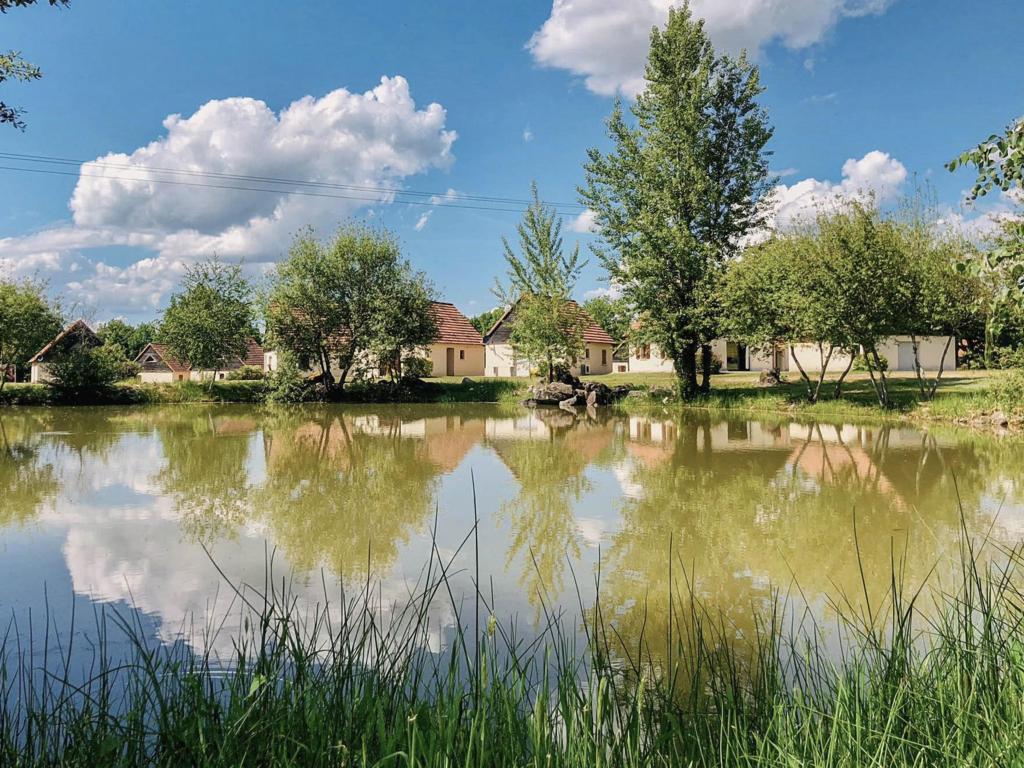 Maison Le Lac Bleu nr 33 à Lacapelle-Marival, 4 chambres et piscine - Photo 33