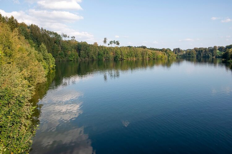 Maison 15 personnes en forêt ardennaise avec vue sur lac - Photo 34