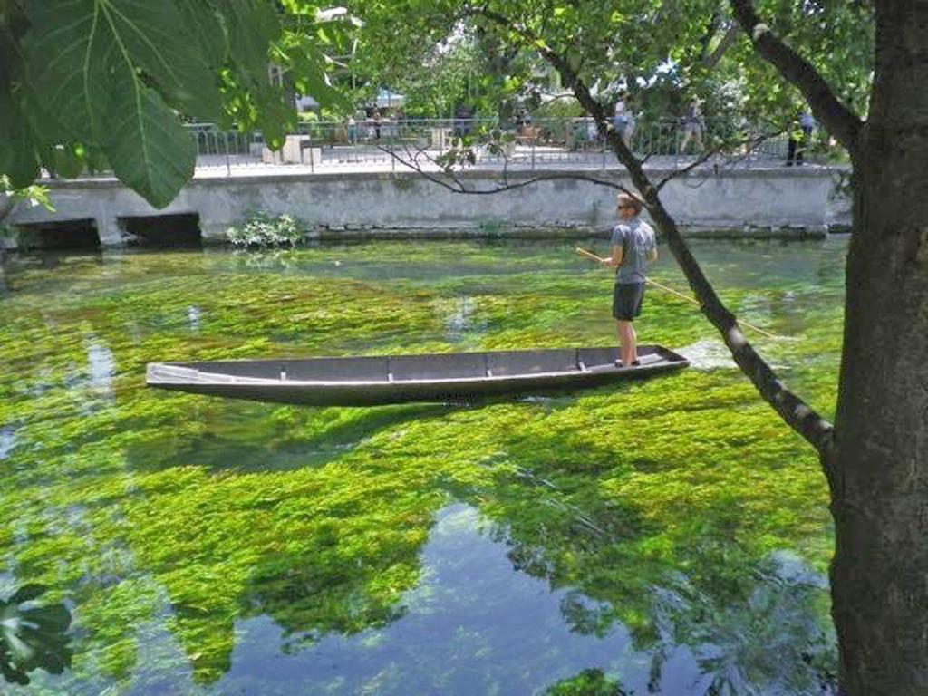 Les Platanes – Maison 4 pers. avec piscine à L'Isle-sur-la-Sorgue - Photo 23
