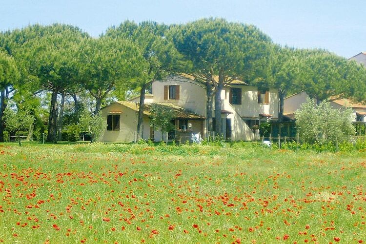 Maison 6 pers. Marina di Grosseto, 900m de la mer - Photo 11