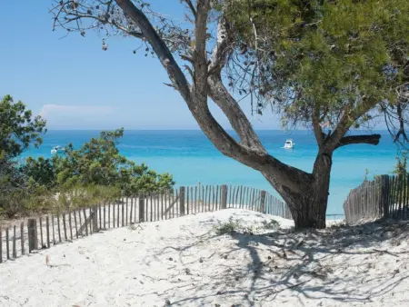 Location maison de vacances à Oletta