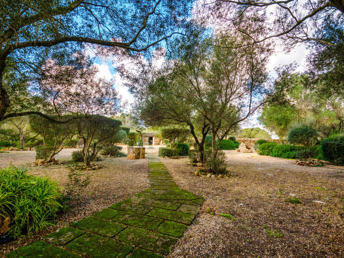 Es Rafalet, villa 8 pers. avec piscine à Llucmajor - Photo 50