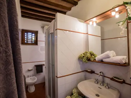 Mimosa, Location Gite 4 personnes à Peccioli - Photo 12