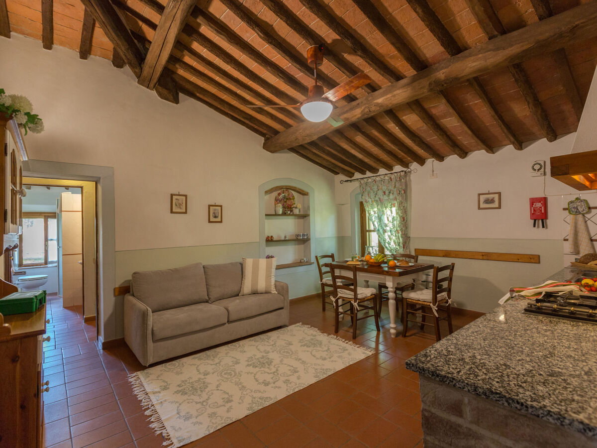 Gîte Viola – domaine agricole toscan près de Peccioli - Photo 4