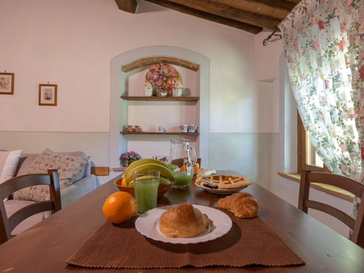 Gîte Viola – domaine agricole toscan près de Peccioli - Photo 8
