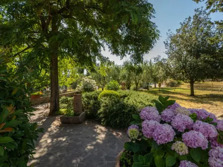 Cilamino, Gite 4 personnes à Peccioli - Photo 19