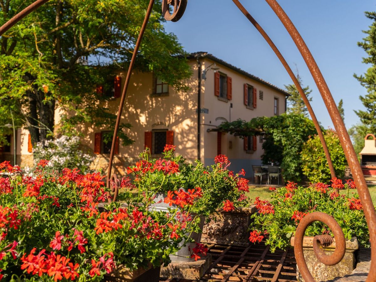 Margherita - Gîte 6 pers. avec piscine à Peccioli - Photo 22