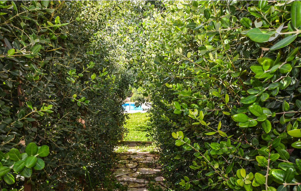 Maison jumelée 6 pers. avec piscine en Sicile du sud - Photo 24