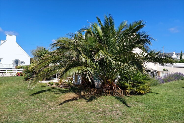 Maison 4 pers. à 100 m de la mer, Plouhinec - Photo 22