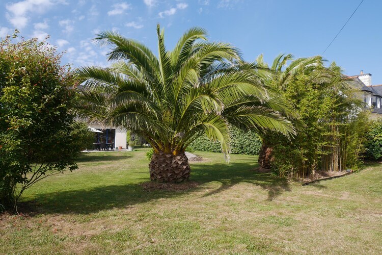 Maison 6 pers. à 350 m de la plage, Brignogan-Plages - Photo 18