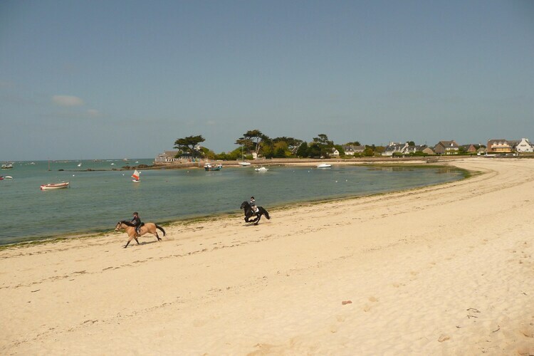Maison 6 pers. à 350 m de la plage, Brignogan-Plages - Photo 21