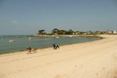 Maison 6 pers. à 350 m de la plage, Brignogan-Plages : photo 22