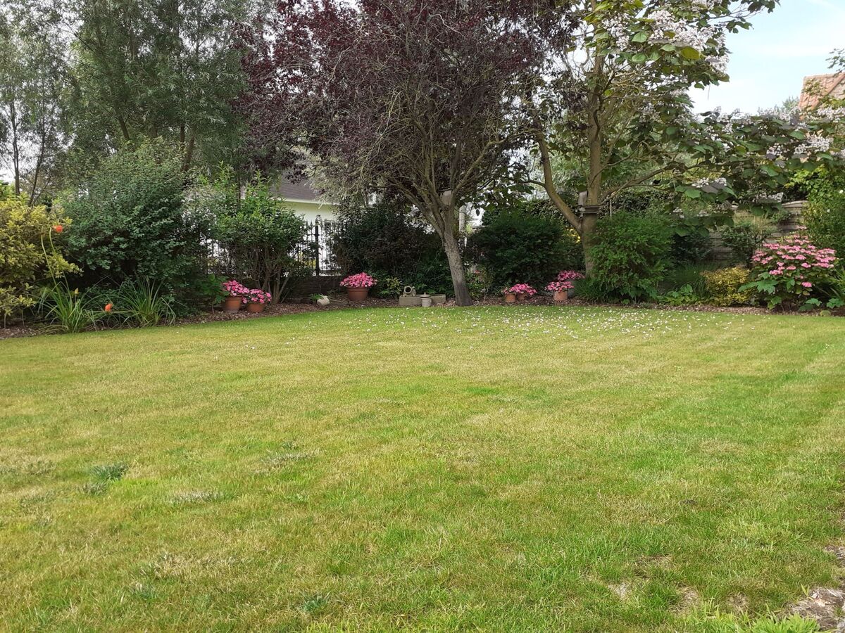 Villa Kievit à De Haan : sauna, jardin et parking - Photo 16